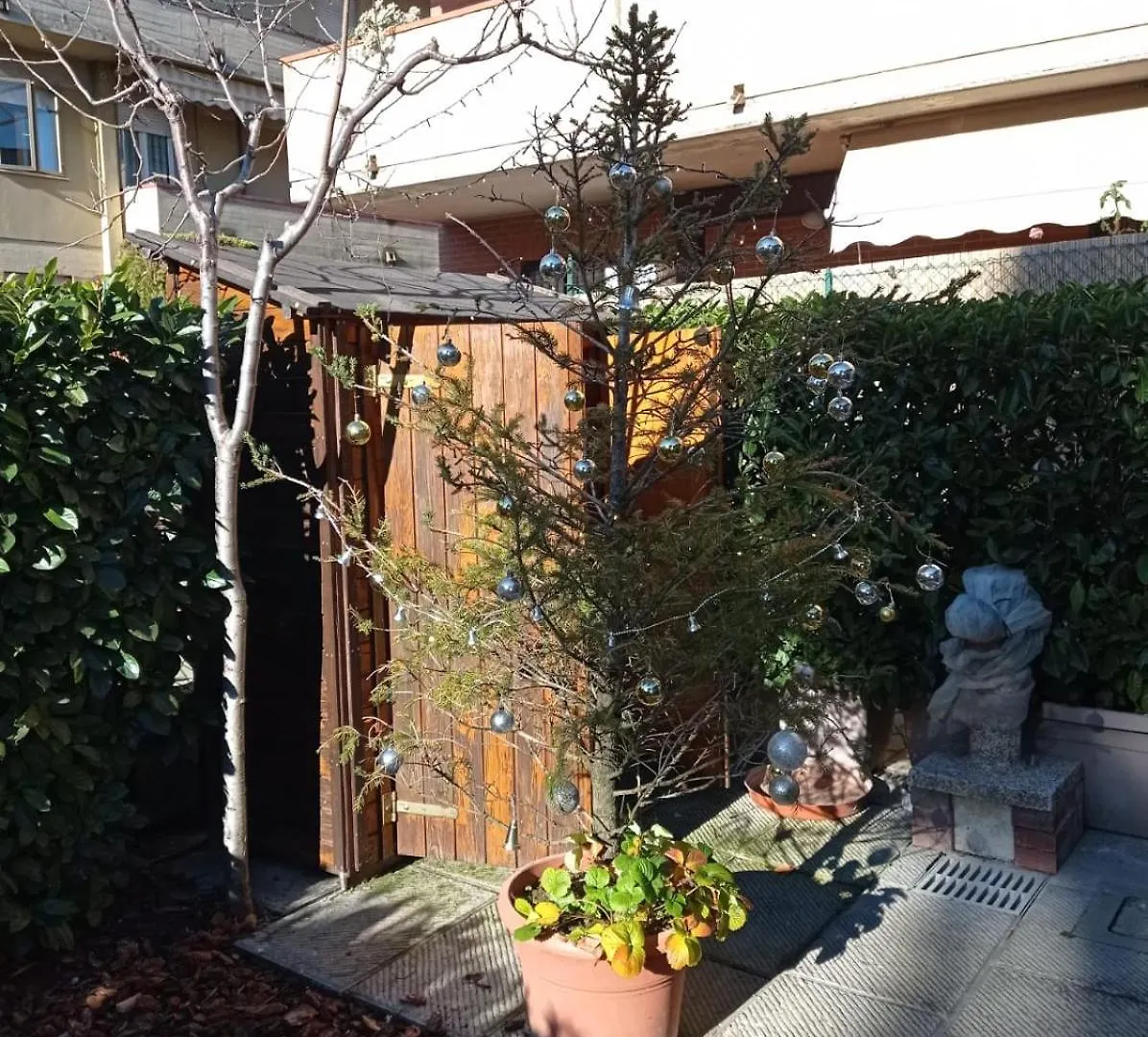 Villa Carmela - Centro Arezzo