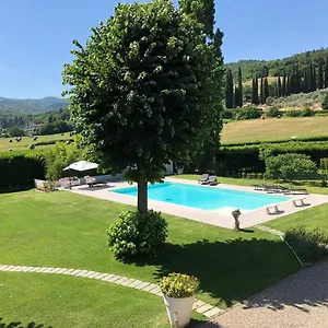 Giuliana Arezzo